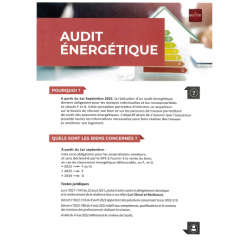 Lot de 20 Fiches Métier - L'audit énergétique