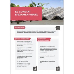 Lot de 20 Fiches Métier - Constat d'examen visuel