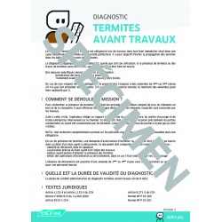 Fiches Diagnostic termites avant travaux